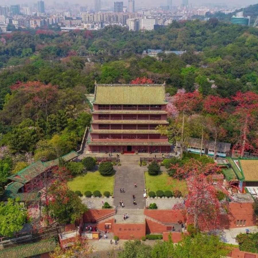 Museums in GZ release 2024 schedules for free opening days