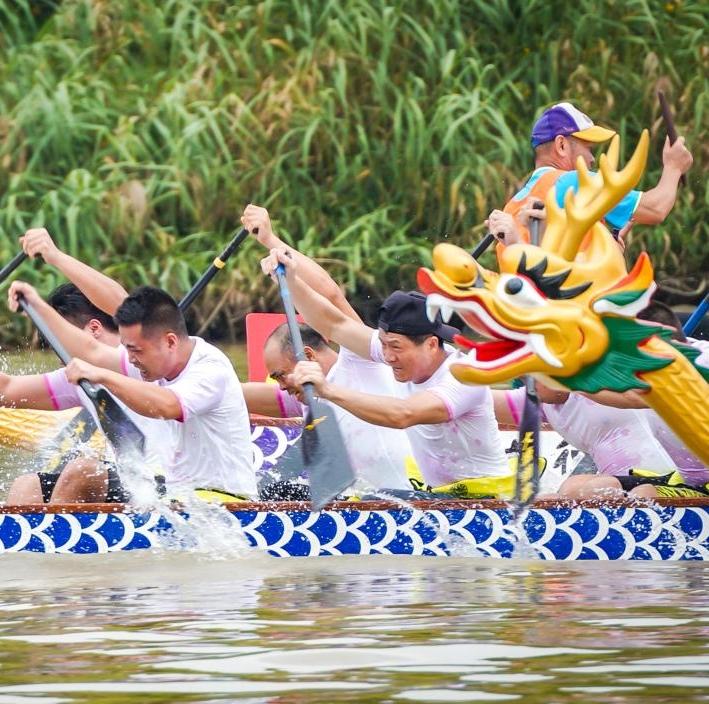 Video & pics | Preliminary dragon boat race held on waters of Haizhu Wetland in Guangzhou