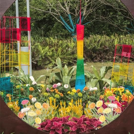 Large scale chrysanthemum exhibition kicks off in downtown Guangzhou