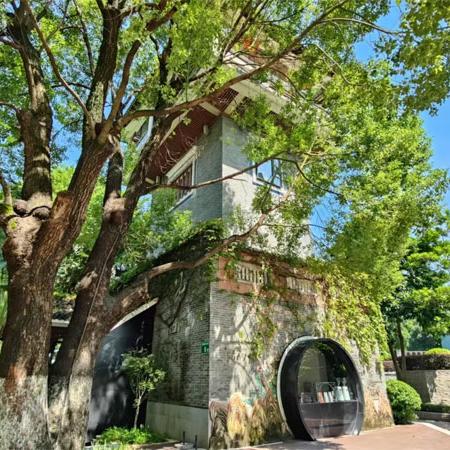 Tranquil retreats: Tianhe's award-winning parks