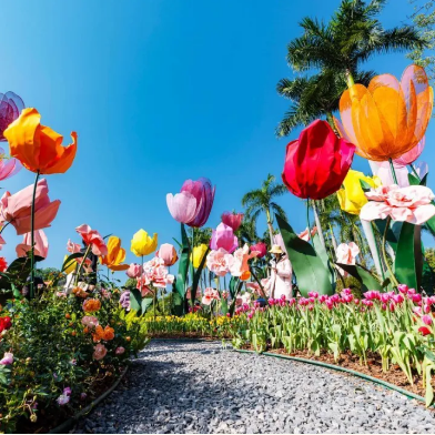 Grand flower exhibitions to kick off in Guangzhou