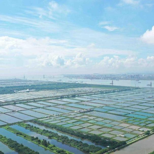 Nansha Pilot Zone signs 32 agricultural investment deals