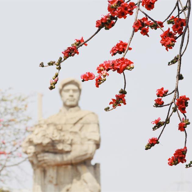 Spring blooms paint China's landscapes with striking colors