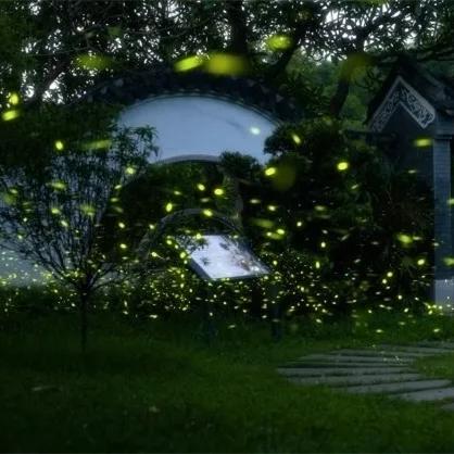 Where to find enchanting fireflies in Guangzhou