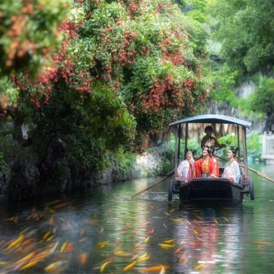 Lychee Cultural Festival kicks off in Baomo Garden