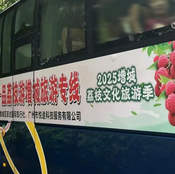 Free buses to Guangzhou's orchard for fresh lychee picking!