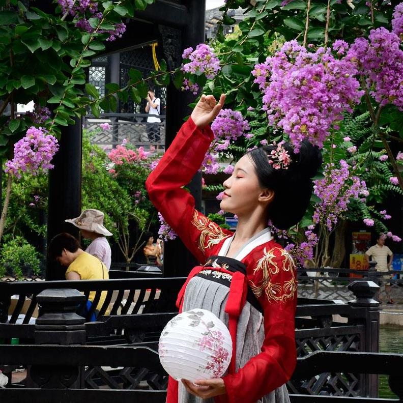 Lingnan garden hosts summer wisteria festival