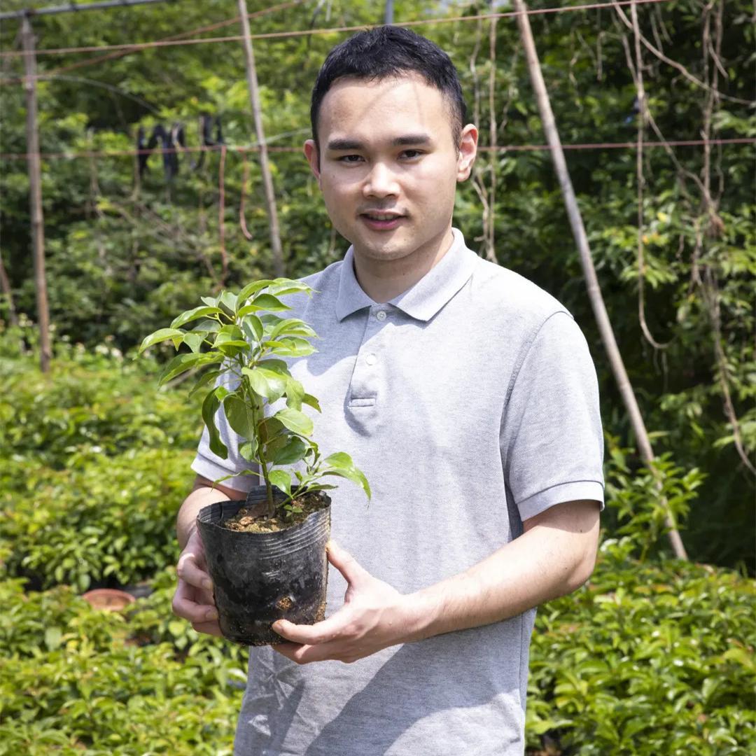 Dream of rare fungus sprouts in Guangzhou