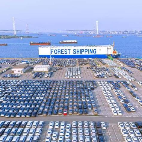 China's port economy powers ahead with strong momentum